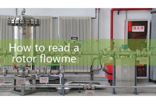 How to view a rotor flowmeter